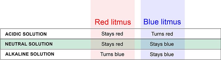 what-color-does-red-litmus-paper-turn-when-placed-in-an-alkali_1751908314