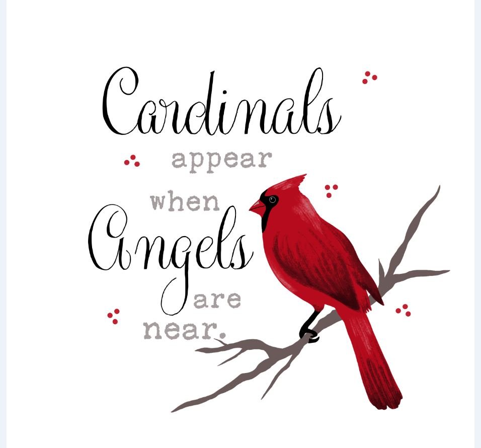 when-cardinals-appear-angels-are-near_1751905720