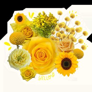 when-is-yellow-flower-day_1751906219