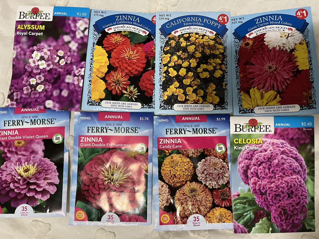 when-to-plant-flower-seeds_1751907677