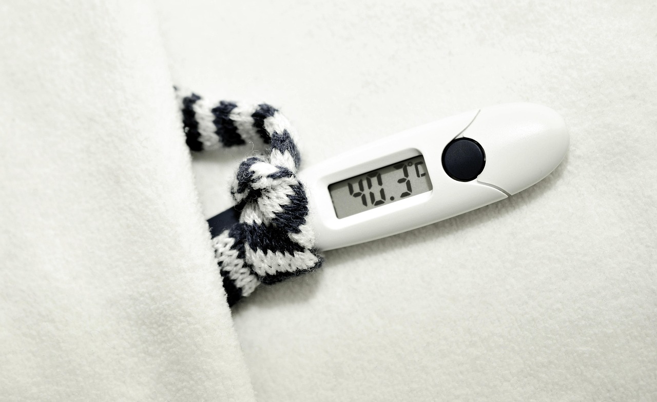 Clinical thermometer, fever, disease — Enhancing Architectural Detail: Architraves as a Design Statement